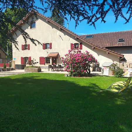 Gite Belle Fleur 6 Personnes- Vosges Saint-Nabord Экстерьер фото