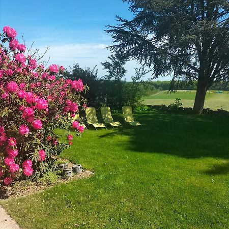 Gite Belle Fleur 6 Personnes- Vosges Saint-Nabord Экстерьер фото