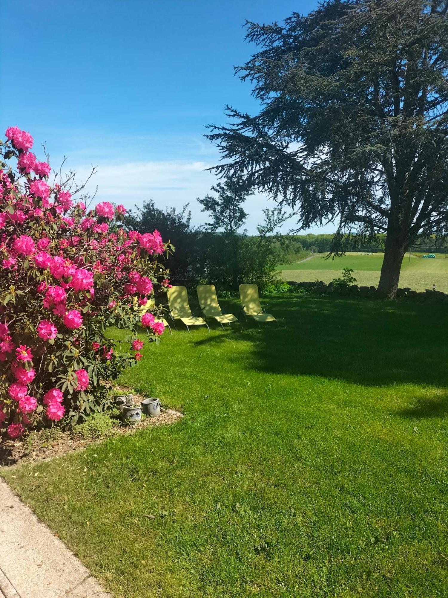 Gite Belle Fleur 6 Personnes- Vosges Saint-Nabord Экстерьер фото
